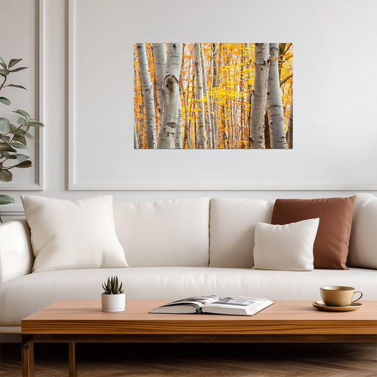 Birch Forest in Autumn | Vibrant Yellow Leaves Photography | Nature Landscape Poster - Photography Poster