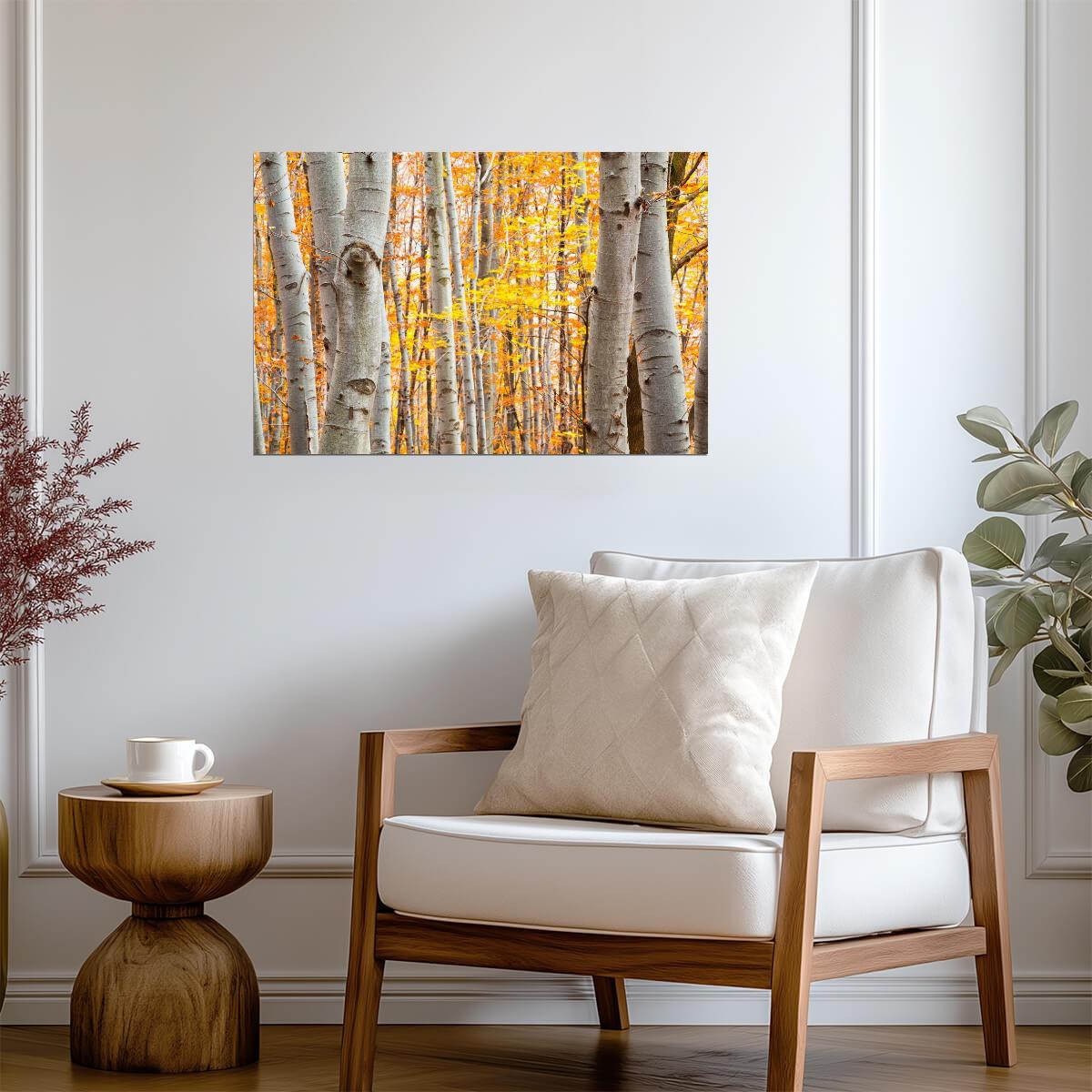Birch Forest in Autumn | Vibrant Yellow Leaves Photography | Nature Landscape Poster - Photography Poster