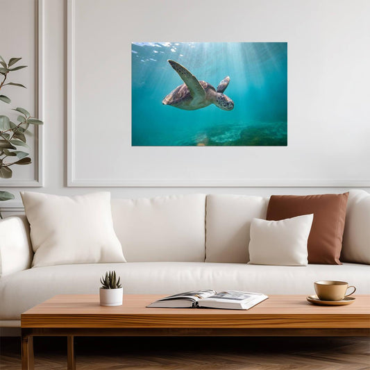 Green Sea Turtle Swimming Through Sun Rays | Underwater Photography | Marine Life Poster - Photography Poster