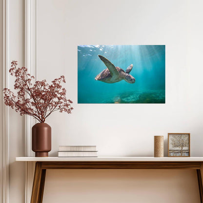 Green Sea Turtle Swimming Through Sun Rays | Underwater Photography | Marine Life Poster - Photography Poster