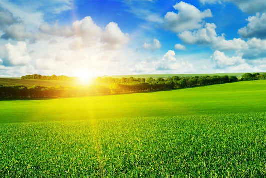 Sunrise Wheat Field Poster | Farm Photography | Rural Landscape Wall Art