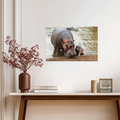Mother Hippopotamus with Newborn Baby | Wildlife Photography | Animal Poster - Photography Poster