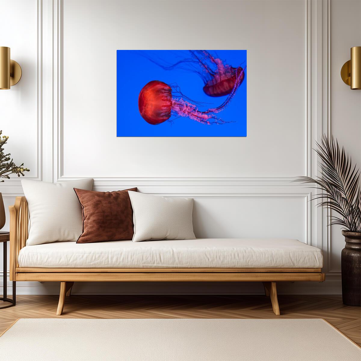 Graceful Jellyfish Swimming Underwater | Marine Life Photography | Ocean Poster - Photography Poster