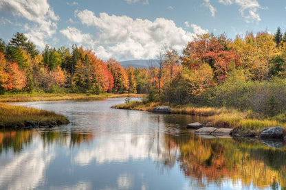 Maine River with Colorful Fall Foliage | Autumn Landscape Photography | Nature Poster - Photography Poster