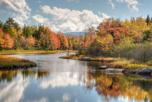 Maine River with Colorful Fall Foliage | Autumn Landscape Photography | Nature Poster - Photography Poster