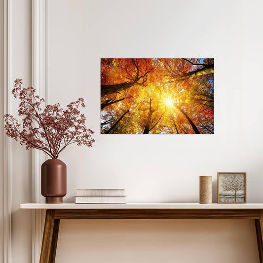 Autumn Sun Shining Through a Tree Canopy | Nature Photography | Forest Poster - Photography Poster