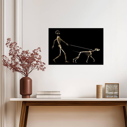 X-Ray of a Dog Pulling its Owner on a Leash | Funny Graphic Art Print | Humorous Pet Poster - Graphic & Art Poster