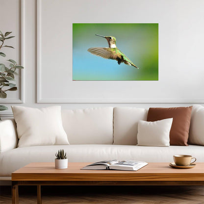 Ruby-Throated Hummingbird in Flight | Bird Photography Print | Wildlife Poster - Photography Poster