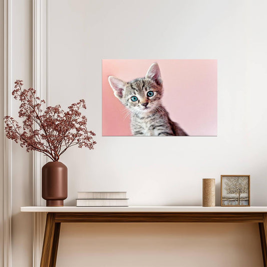 Cute Baby Kitten Posing for the Camera | Pet Photography Portrait | Cat Poster - Photography Poster