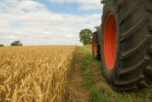 Vintage Tractor Wheels in a Wheat Field | Rustic Farm Photography | Americana Poster - Photography Poster