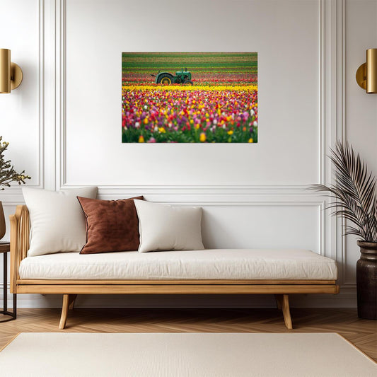 Vintage Green Tractor in a Tulip Field | Colorful Farm Photography | Holland Poster - Photography Poster