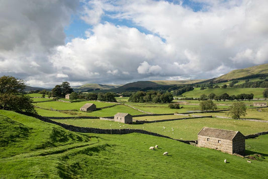 Wensleydale Farms Poster | England North Yorkshire Photography | Rural Landscape Wall Art