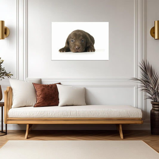 Adorable Brown Puppy Lying Down | Cute Dog Photography | Pet Portrait Poster - Photography Poster