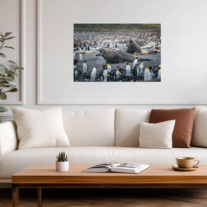 Elephant Seals Fighting Surrounded by Penguins | Wildlife Photography | Nature Poster - Photography Poster