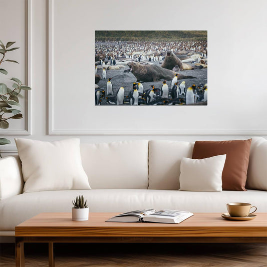 Elephant Seals Fighting Surrounded by Penguins | Wildlife Photography | Nature Poster - Photography Poster