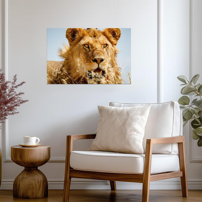 Lion Overlooking the Savanna at Sunset | African Wildlife Photography | Safari Poster - Photography Poster