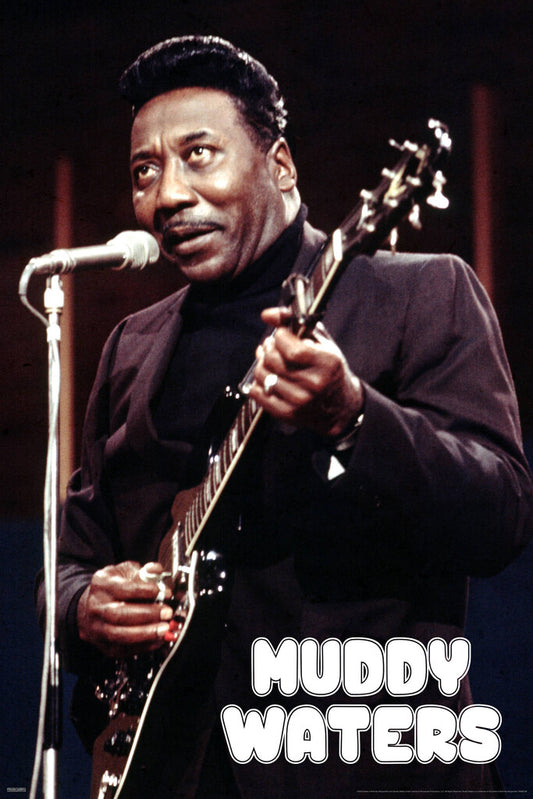 Muddy Waters Concert Poster | Vintage Blues Wall Art | Live Music Photography