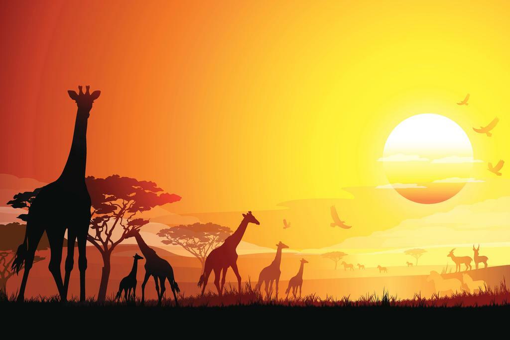 African Giraffes Poster | Wildlife Photography | Safari Landscape Wall Art