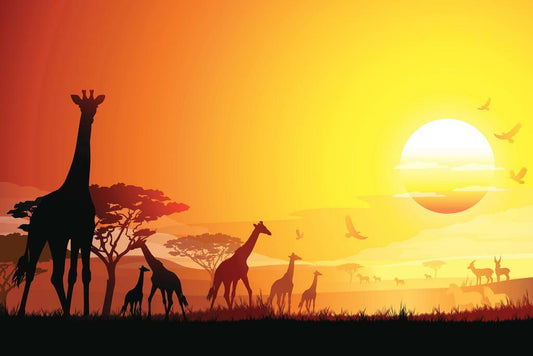African Giraffes Poster | Wildlife Photography | Safari Landscape Wall Art