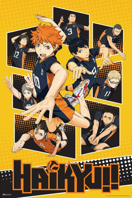 Haikyu!! Shoyo Hinata | Sports Manga Art | Karasuno Anime Poster