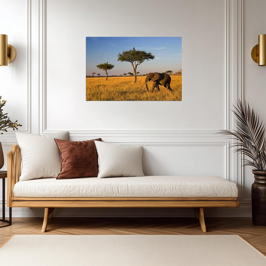 Elephant on an African Savanna | Wildlife Photography Print | Safari Wall Art Poster - Photography Poster