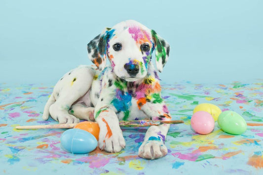 Dalmatian Puppy with Easter Eggs | Cute Dog Photography | Holiday Pet Poster - Photography Poster