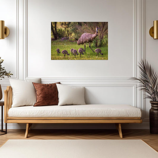 Emu with Seven Babies | Australian Wildlife Photography | Bird Poster - Photography Poster