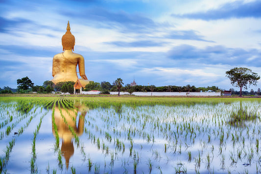 The Great Buddha of Thailand | Ang Thong Landmark Photography | Religious Statue Poster - Photography Poster