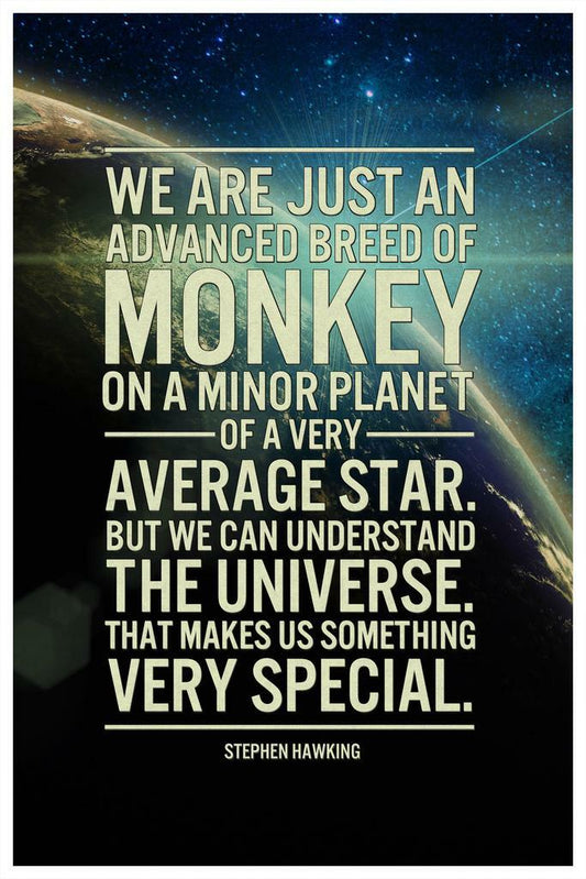 We Can Understand The Universe Stephen Hawking Quote | Inspirational Science Poster | Astrophysics Wall Art - Type & Quotes Poster