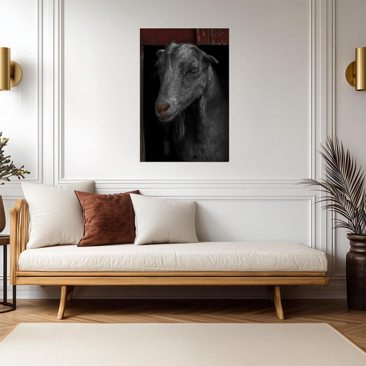 Goat in a Red Barn Portrait | Farm Animal Photography | Rustic Decor Poster - Photography Poster