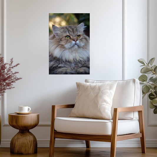 Cute Long Haired Cat Portrait | Fluffy Pet Photography | Animal Poster - Photography Poster