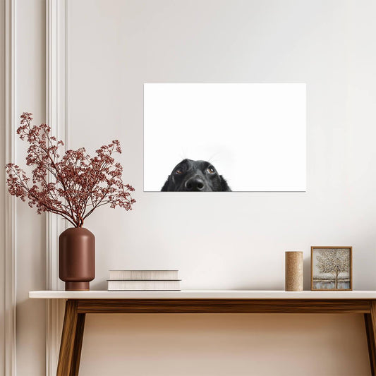 Cute Black Dog Peeking | Funny Animal Photography | Humorous Pet Poster - Photography Poster