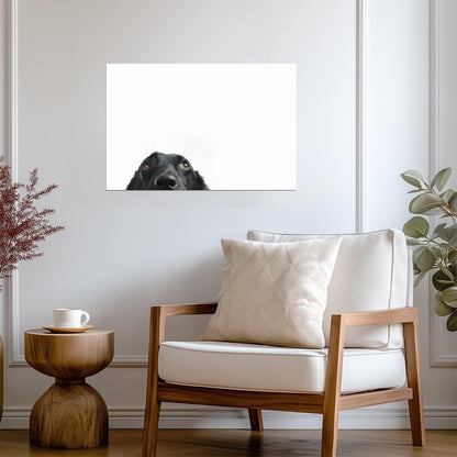 Cute Black Dog Peeking | Funny Animal Photography | Humorous Pet Poster - Photography Poster
