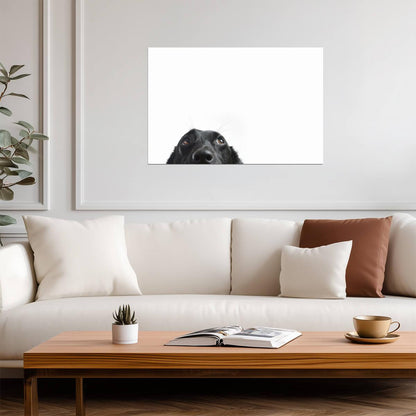 Cute Black Dog Peeking | Funny Animal Photography | Humorous Pet Poster - Photography Poster