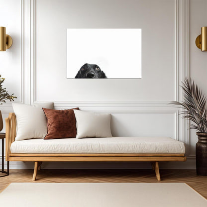 Cute Black Dog Peeking | Funny Animal Photography | Humorous Pet Poster - Photography Poster