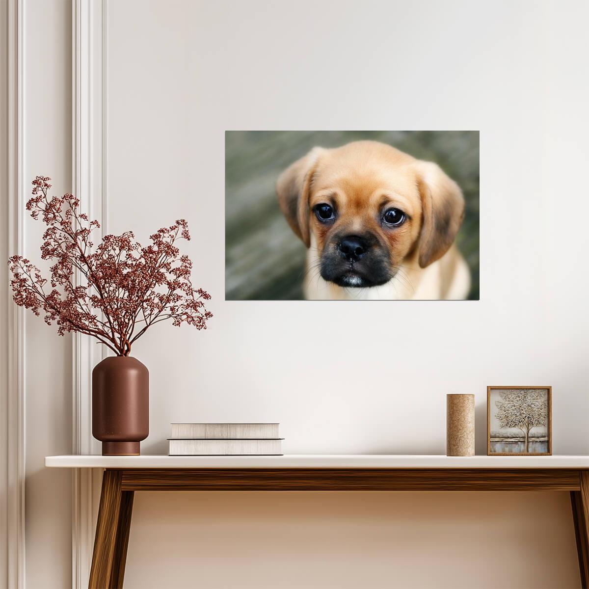 Sad Puppy with Worried Eyes | Cute Dog Photography | Emotional Pet Poster - Photography Poster