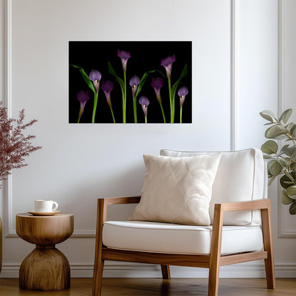 Purple Calla Lilies | Floral Photography Print | Botanical Wall Art Poster - Photography Poster