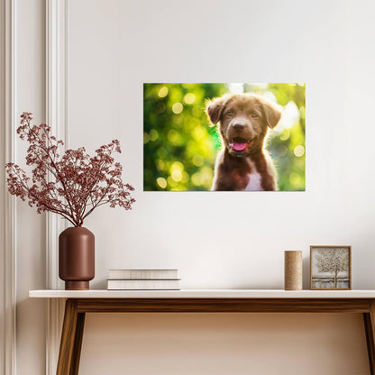 Cute Brown Puppy Outside | Pet Photography | Adorable Dog Poster - Photography Poster