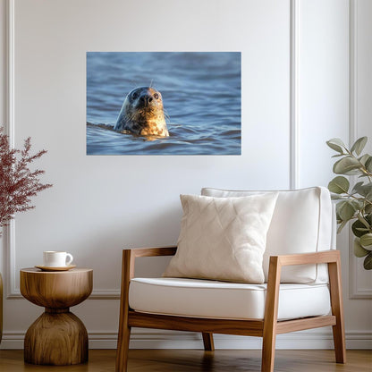 Grey Seal in the Water | Marine Wildlife Photography | Animal Portrait Poster - Photography Poster