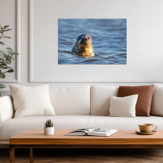 Grey Seal in the Water | Marine Wildlife Photography | Animal Portrait Poster - Photography Poster