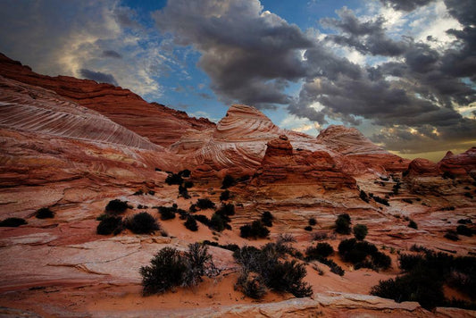 Wavy Desert Sand Dunes | Abstract Nature Photography | Landscape Poster - Photography Poster