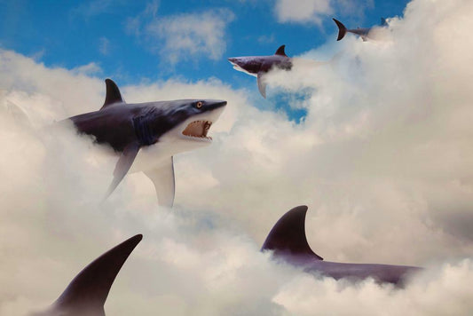 Sharks Floating in the Clouds | Surreal Art Print | Whimsical Animal Poster - Graphic & Art Poster