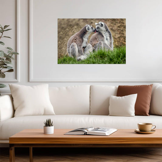 Two Lemurs in Love | Cute Animal Photography | Wildlife Couple Poster - Photography Poster