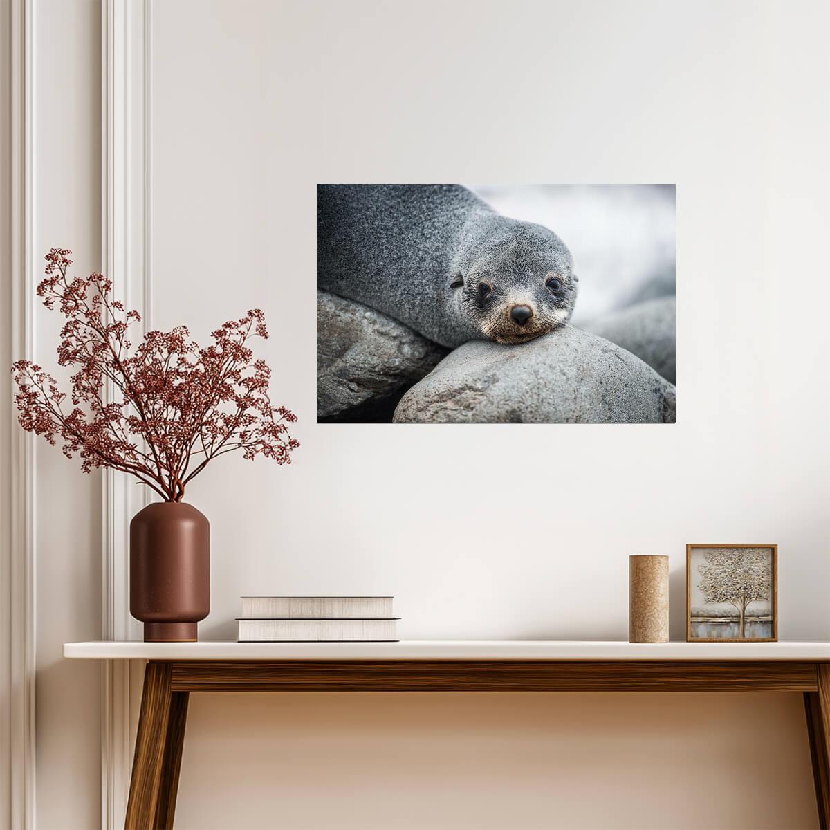 Antarctic Fur Seal Portrait | Wildlife Photography | Animal Poster - Photography Poster