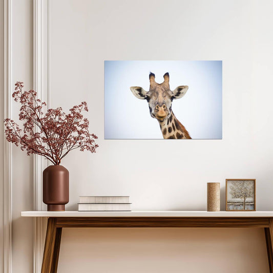 Giraffe Close Up Portrait | African Wildlife Photography | Animal Poster - Photography Poster