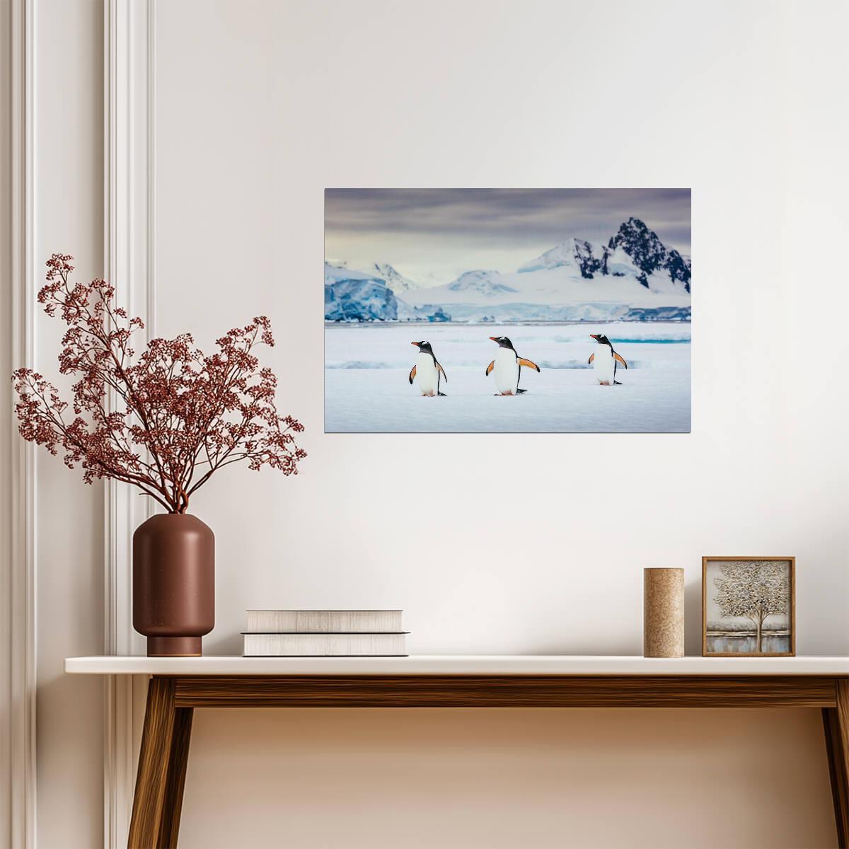Trio of Gentoo Penguins in Antarctica | Wildlife Photography | Bird Poster - Photography Poster