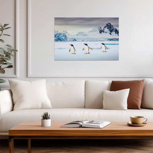 Trio of Gentoo Penguins in Antarctica | Wildlife Photography | Bird Poster - Photography Poster