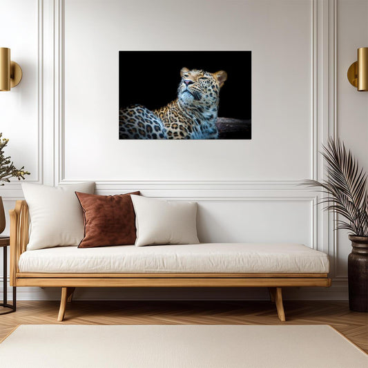Leopard Face Detail Close Up | Big Cat Photography | Wildlife Poster - Photography Poster