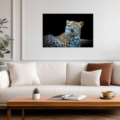 Leopard Face Detail Close Up | Big Cat Photography | Wildlife Poster - Photography Poster