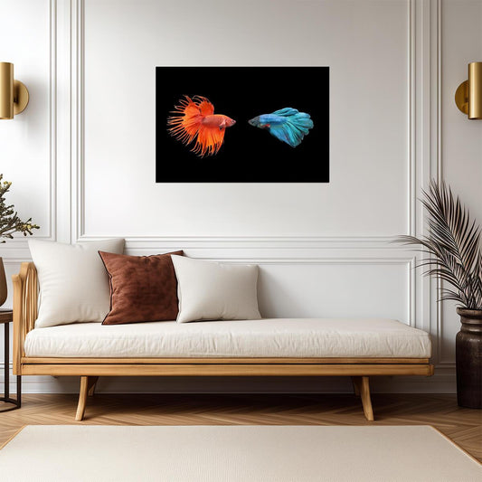 Siamese Fighting Fish (Betta) | Underwater Photography | Aquatic Art Poster - Photography Poster